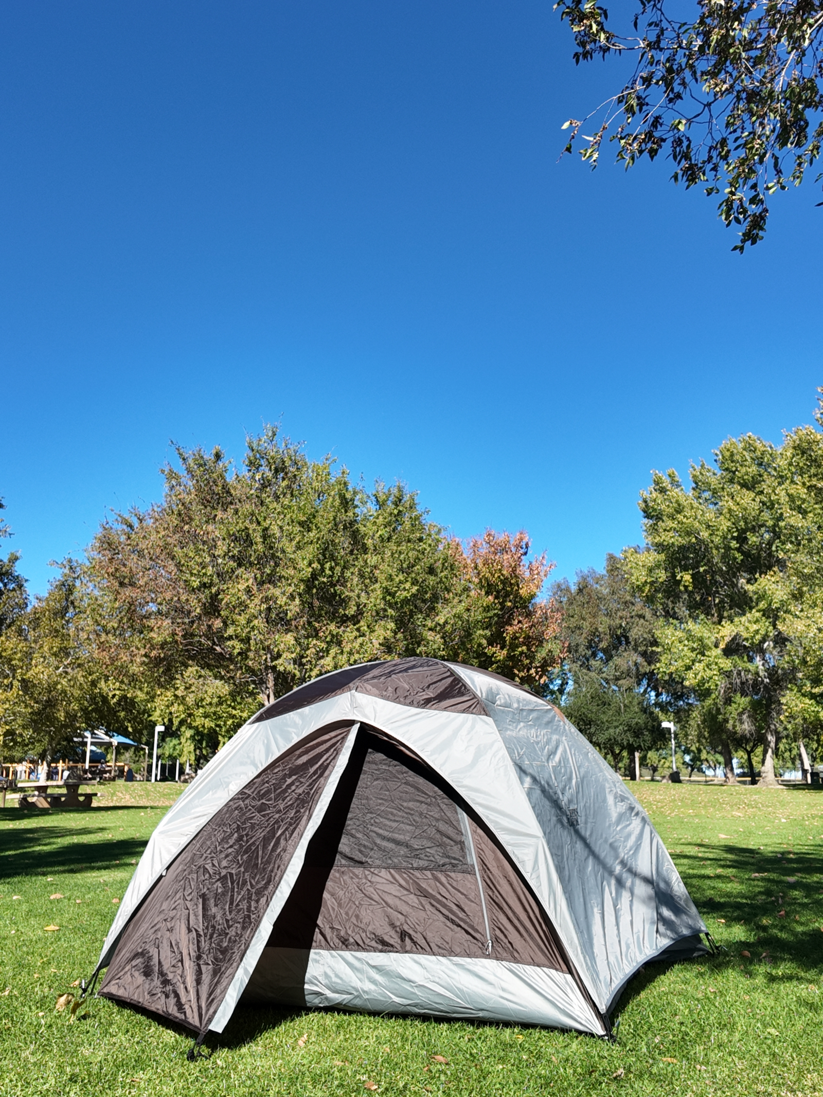 Tent on grass with trees and blue sky in the background